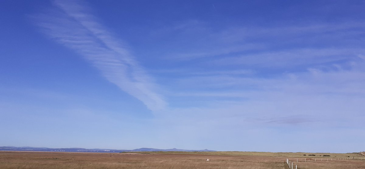 Rachel Mapson 💙 tweet media