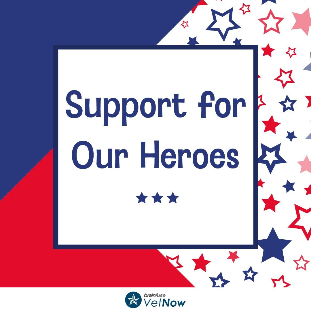 NSPLibrary's tweet image. #VetNow: Grateful for our heroes this November! #Brainfuse VetNow provides the tools you need to navigate your post-military life. From educational resources to job assistance, we’re here for you! buff.ly/3Y7RiEa? 
#VeteransDay #VetNow #SupportVeterans