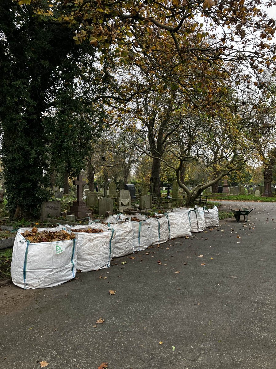 LondonPS_CP's tweet image. It&apos;s leaf season again, our group at Mortlake Cemetery have been doing a stellar job collecting the fallen foliage