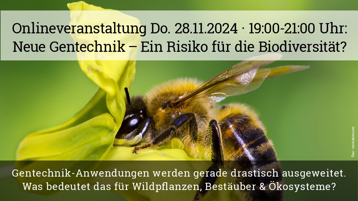 Deutscher Naturschutzring tweet media