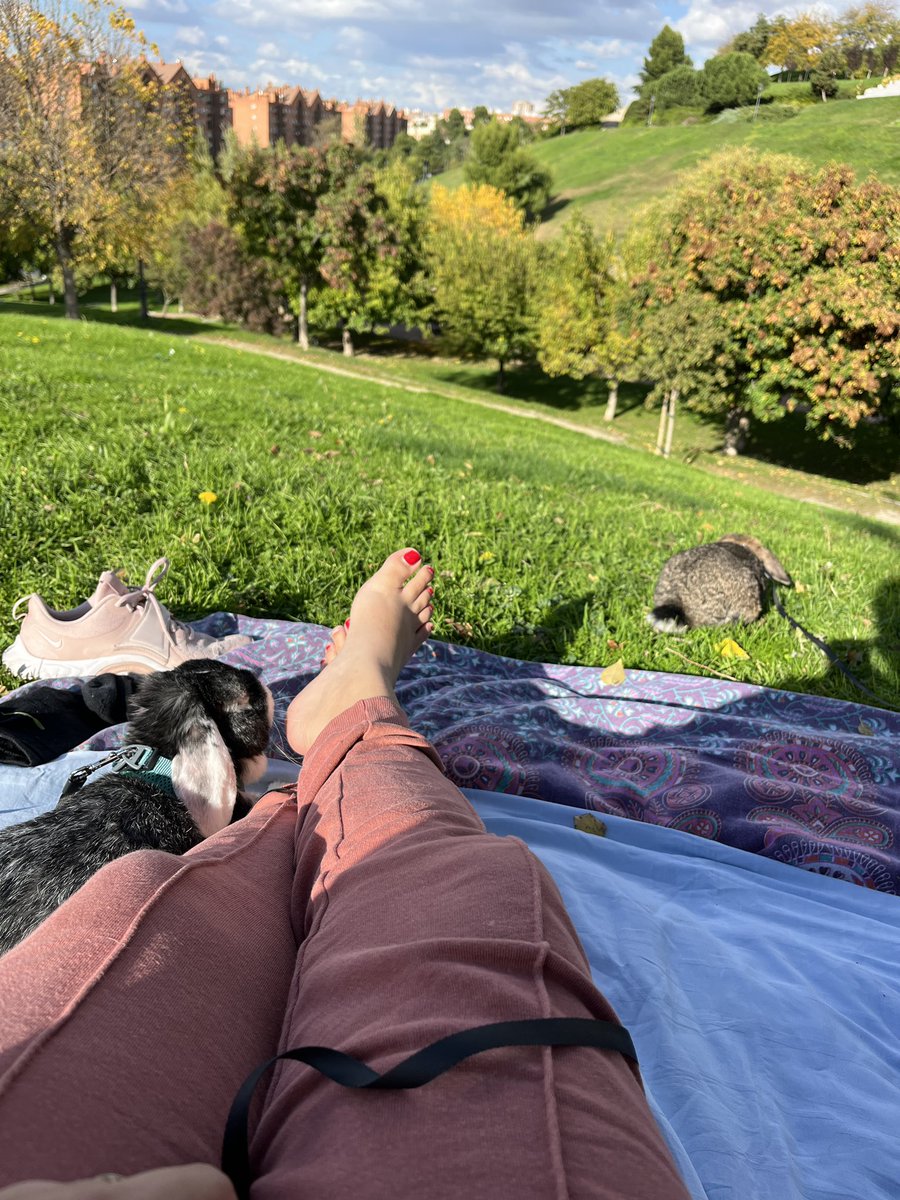 bahianmm's tweet photo. Yo solo espero tener una casa grande con jardín para poderla llenar de animalitos adoptados, ya tengo dos 🥰 https://t.co/xZotdYFvmk