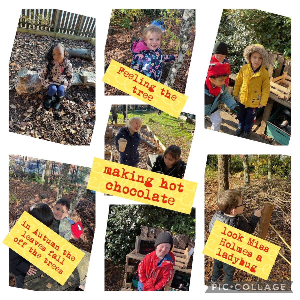 PagetPrimary's tweet image. 1D have enjoyed exploring Forest School and learning different things about nature #pagetforestschool #outsidelearning #fun #listening #123whereareyou 🐞🐛🪲