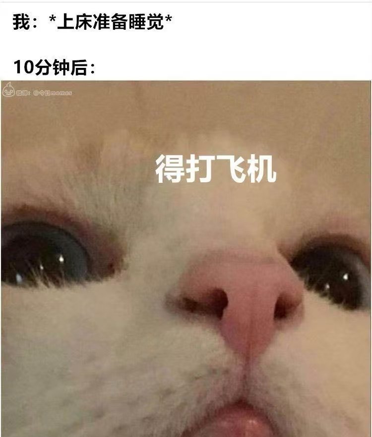 清清不识字 tweet media