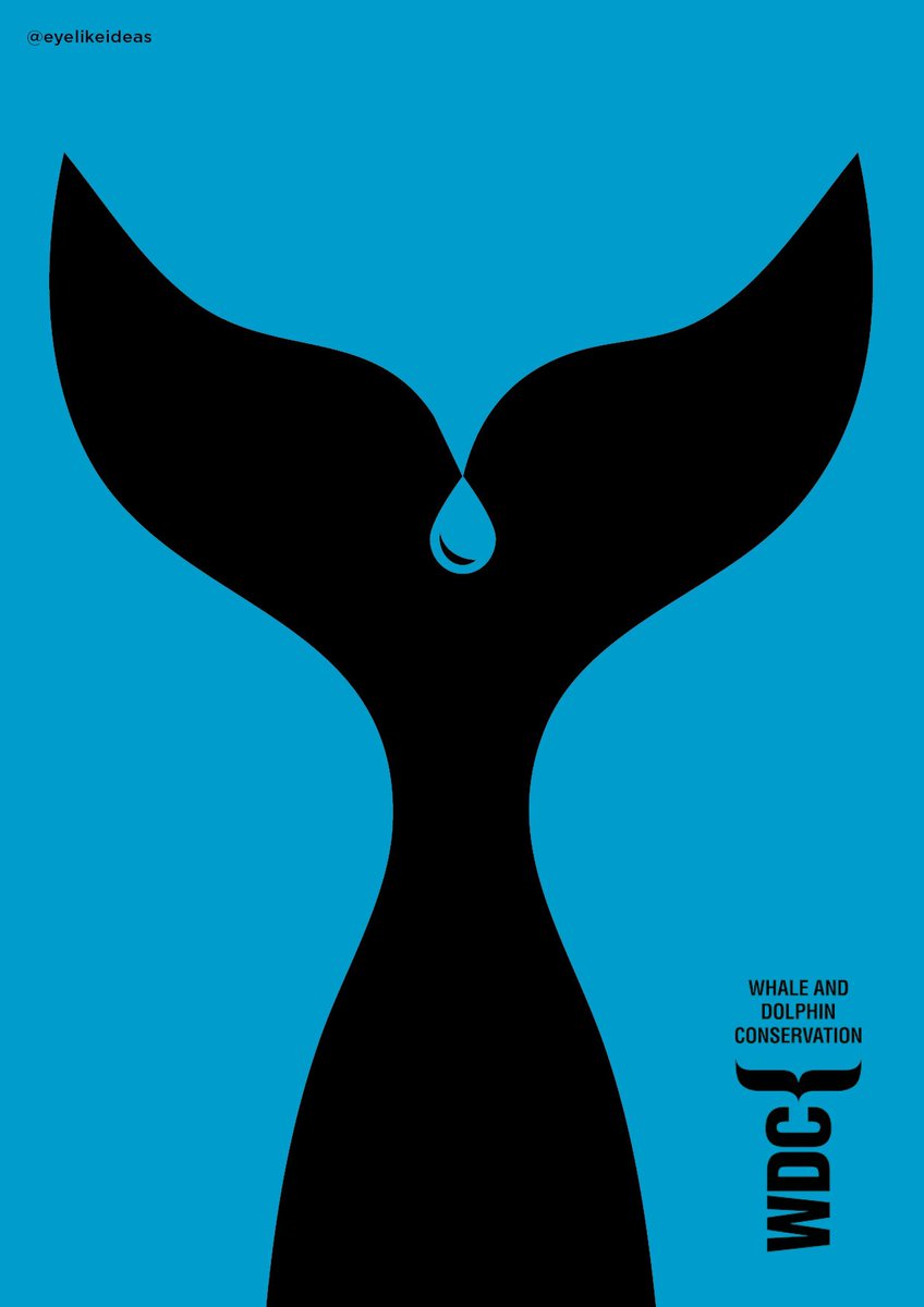 eyelikeideas (@eyelikeideas) on Twitter photo Todays <a href="/OneMinuteBriefs/">One Minute Briefs ⏱️</a> <a href="/whalesorg/">Whale and Dolphin Conservation (WDC)</a> #SaveTheWhaleSaveTheWorld Todays <a href="/OneMinuteBriefs/">One Minute Briefs ⏱️</a> <a href="/whalesorg/">Whale and Dolphin Conservation (WDC)</a> #SaveTheWhaleSaveTheWorld