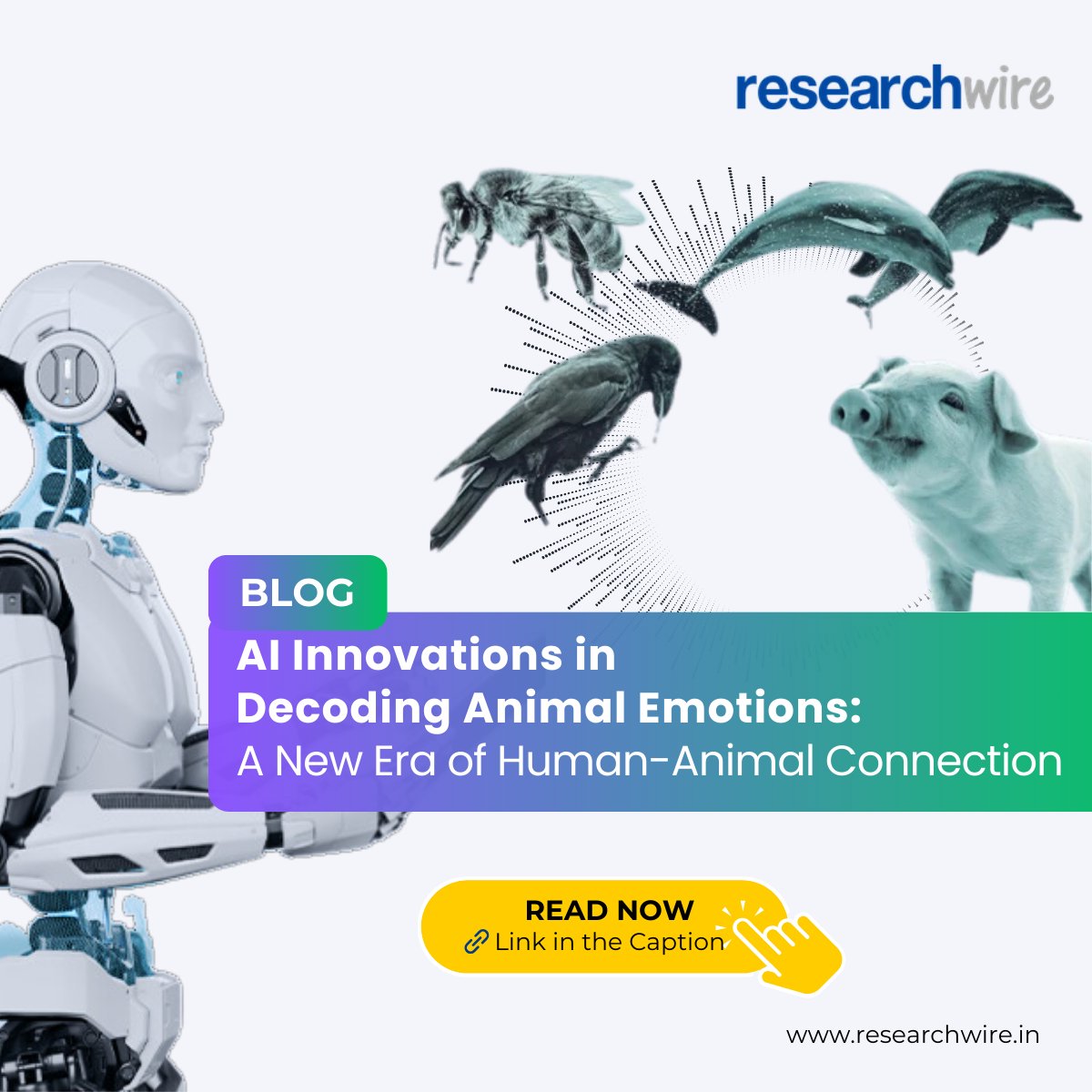 researchwire's tweet image. Discover how #AI is helping us understand animal emotions—from pet care to #WildlifeConservation. Dive into this tech revolution and imagine a new era of #HumanAnimalConnection! 
Read more ⤵️researchwire.in/resources/ai-a…
#AIForGood #TechForWildlife #Innovation