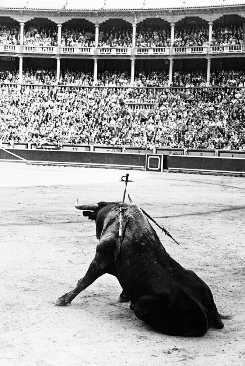 Iker Izquierdo en Mi Torero explica claro por qué el toro debe morir en la plaza, pues antes q arte la tauromaquia es rito con un sacrificio que debe acontecer de frente y a la vista de todos, no esconderse en el desolladero o con electrodos (Zumbiehl!), q sería una degeneración.