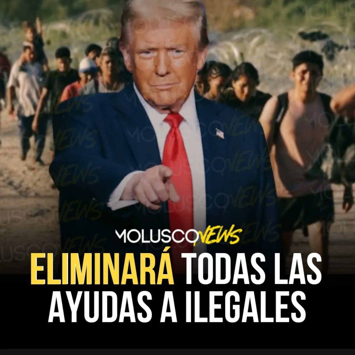 Moluskein's tweet photo. El presidente Donald Trump aseguró que eliminará todas las ayudas, incluyendo de vivienda, trabajo y alimentaria, para los inmigrantes ilegales / indocumentados en Estados Unidos a partir del primer día de su administración y que ese dinero será utilizado para beneficiar a la clase media y los veteranos. 

#MoluscoTVNews