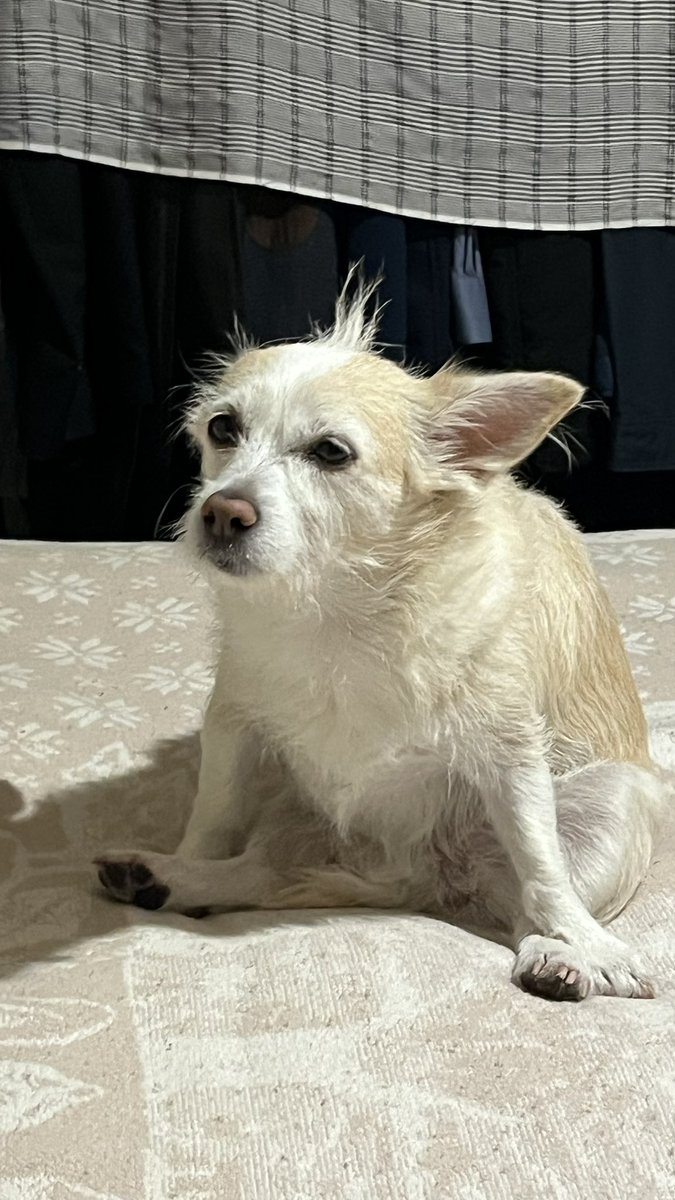 yalamırken oturdm kendme bi dusumdum