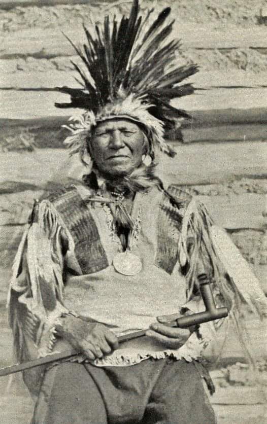 Native American Power🇺🇲 tweet media