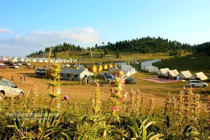 MaryamAfghan_19's tweet photo. My Homeland Paktia Greenery Aryub Zazai Afghanistan 🇦🇫🌲😍❤️
#Afghanistan #Paktia #Zazai https://t.co/yf9lWHDFMr