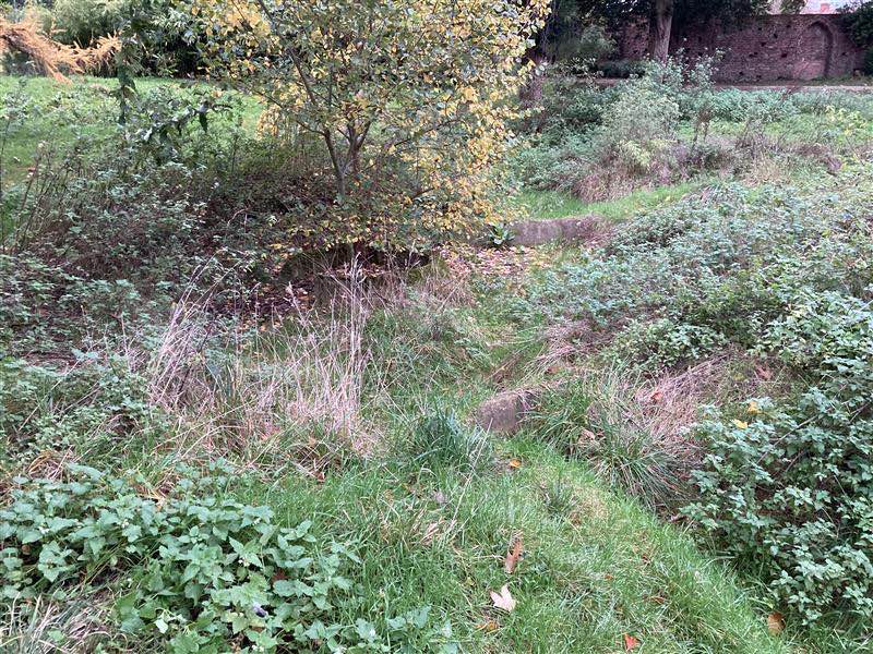 LondonPS_CP's tweet image. What a lovely before and after from our team at Gunnersbury Park @Gunnersbury1 , who have cleaned up the Japanese Water Garden.