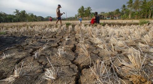 arps_media's tweet image. The Gambia will receive a D10 million grant from the Islamic Development Bank and .......

Read more; {permalink

#Gambia, #IslamicDevelopmentBank, #WHO, #climatecrisis, #healthcare arpsmedia.com/wp-content/upl…