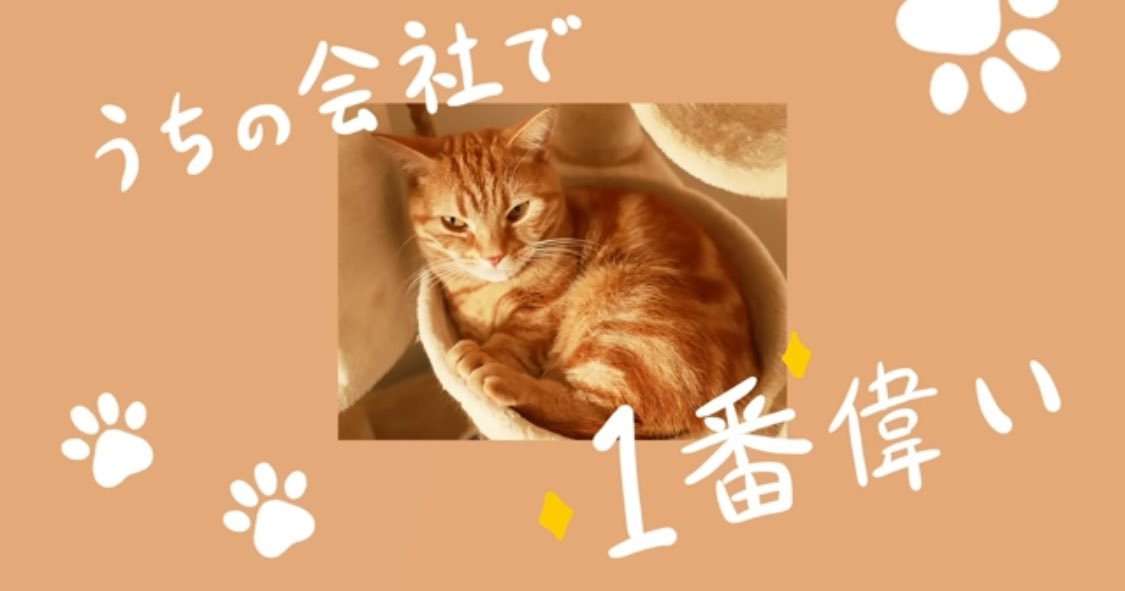 since_June_1979's tweet image. 4年前、ノリの悪いブクロ
ぶん回しましょう！

#さらば青春の光 #会長専務
マンチカンがいる会社て毎日がこんな感じ！【会長オス2歳】 
youtu.be/8cBSFYpwWeA?si… @YouTubeより