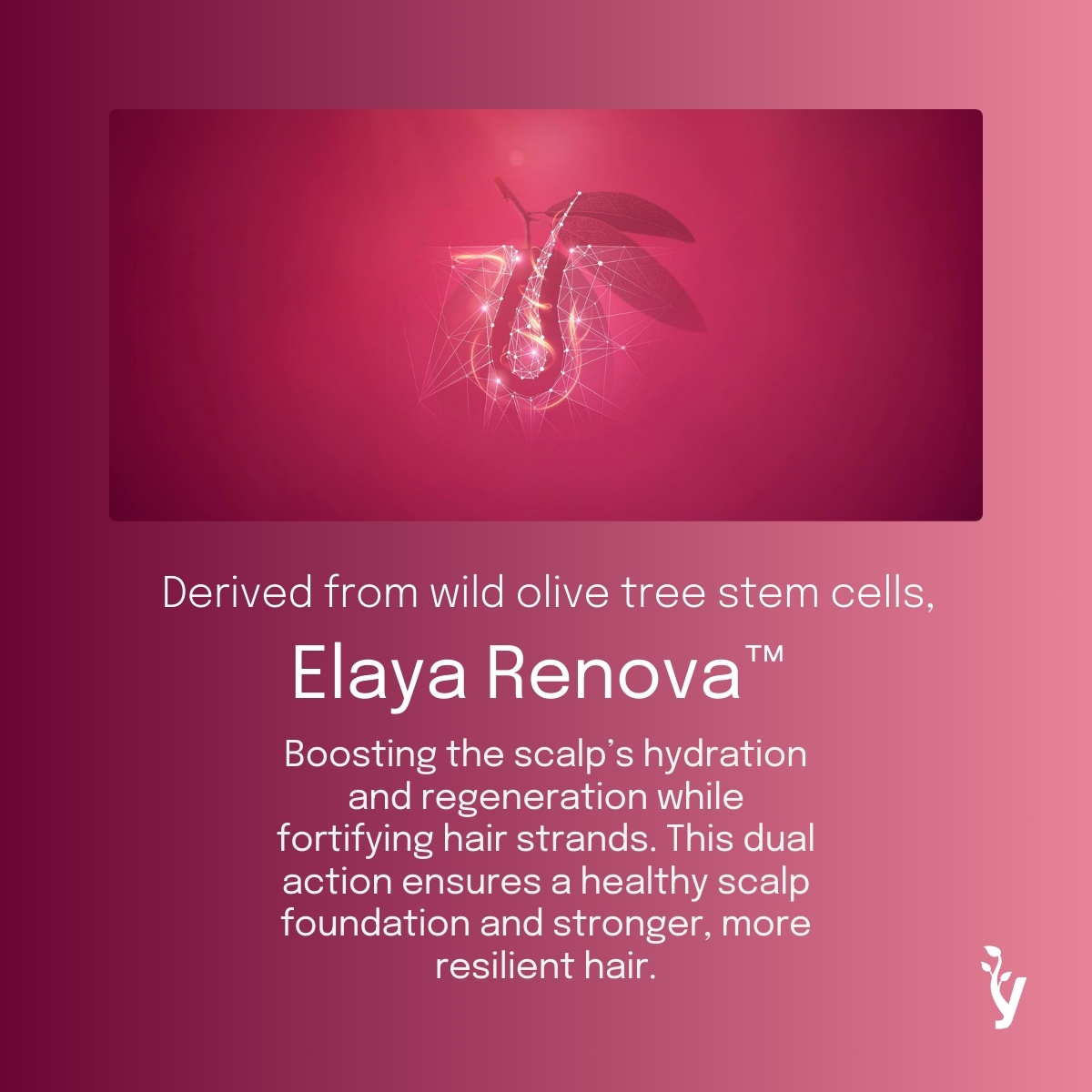 Vytrus Biotech tweet media