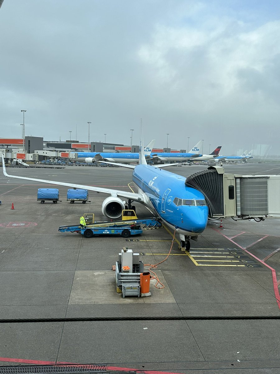 Hans Donald de Boer tweet media