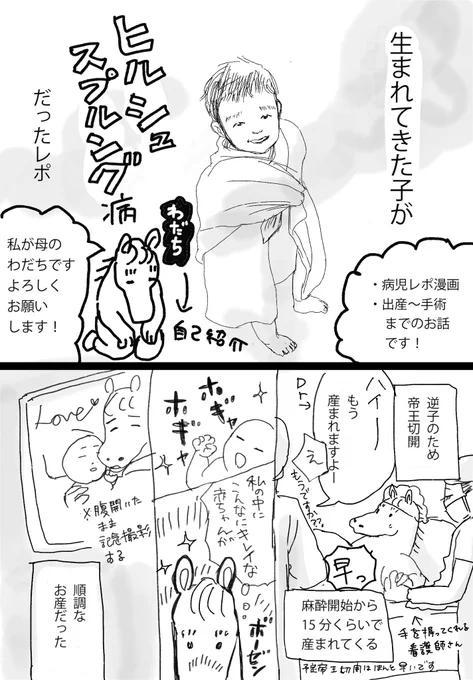 生まれてきた子がヒルシュスプルング病だったレポ①(1/3)
病児育児まんが始めました 子どもが先天的な腸の病気だったという話です
毎週か隔週更新を目指します!よろしくどうぞ〜

#漫画が読めるハッシュタグ #マンガが読めるハッシュタグ
#育児漫画 #レポ漫画 #ヒルシュスプルング病 #帝王切開 