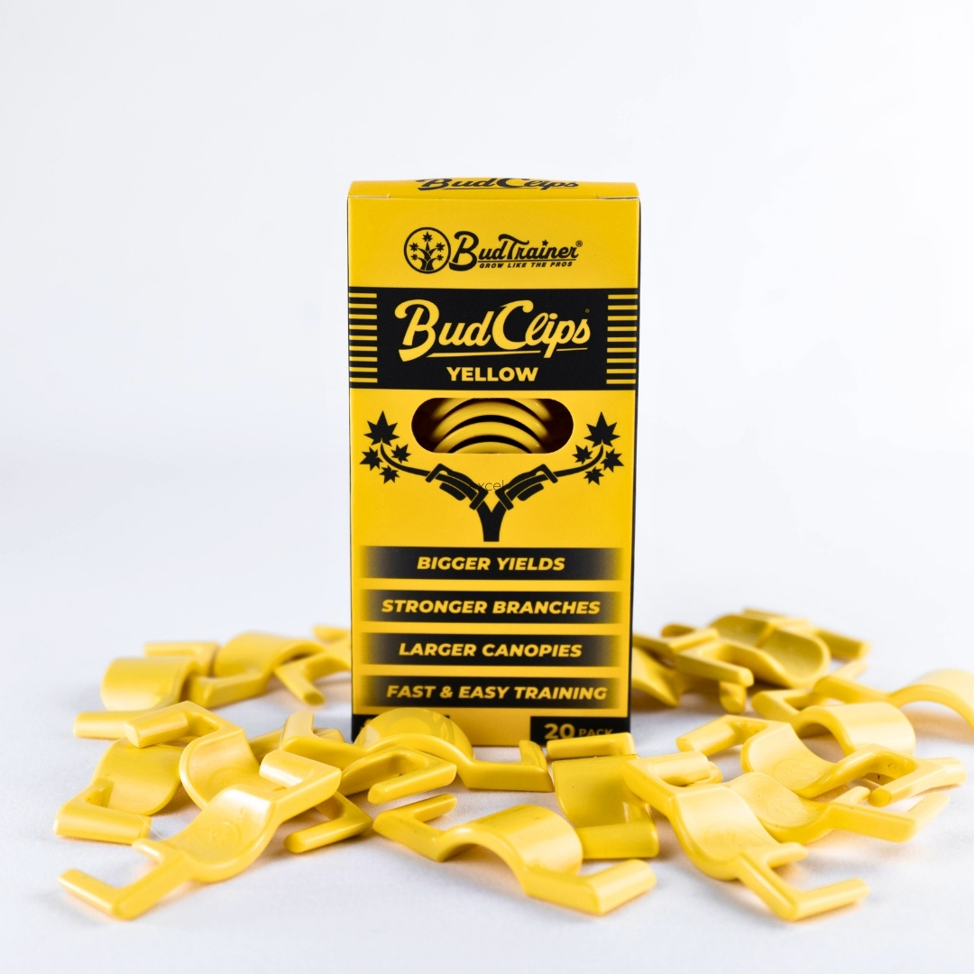 theBudTrainer's tweet photo. Obsessed with our new BudClips packaging 🤩😍🥰
#lstclips #planttraining #budtrainer #budclips https://t.co/aXDK4q9dY8