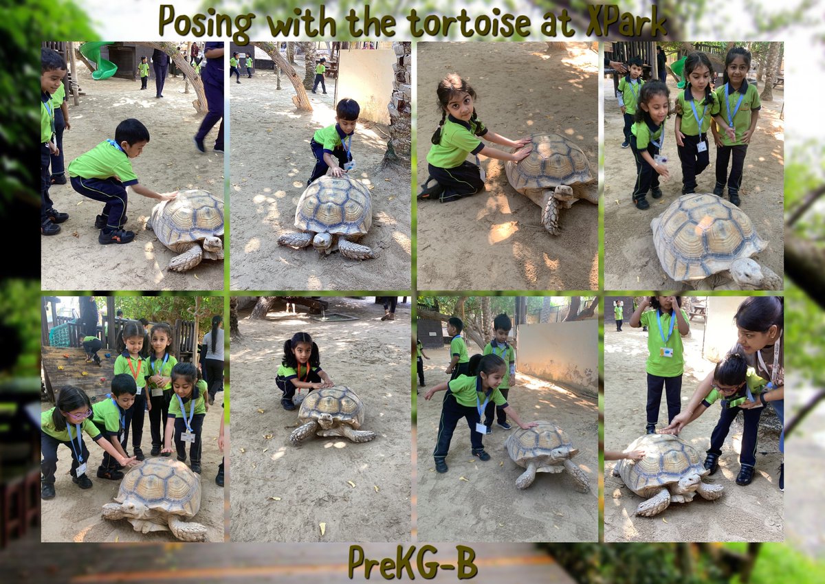 AmbassadorDXB's tweet photo. Our Pre-KG adventurers had an incredible day at X Park Junior! 📷📷
They explored nature, made new animal friends, and enjoyed hands-on learning with activities like feeding the goats and marveling at the beautiful ponies @KHDA https://t.co/VaH3TiD5uK