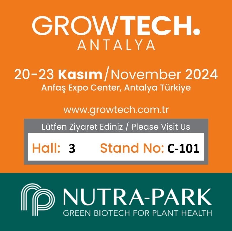 Sedat Serçe tweet media