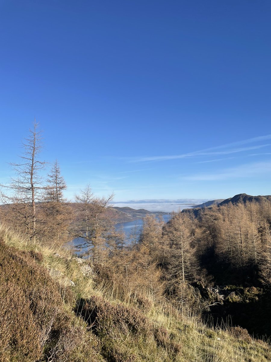 Food & Nutrition at Bolton School Girls' Division (@bsgdfood) on Twitter photo Group 2 enjoying their lunch at the summit of Glenridding Dodd! We made it! <a href="/Patterdale_Hall/">Patterdale Hall</a> Group 2 enjoying their lunch at the summit of Glenridding Dodd! We made it! <a href="/Patterdale_Hall/">Patterdale Hall</a>