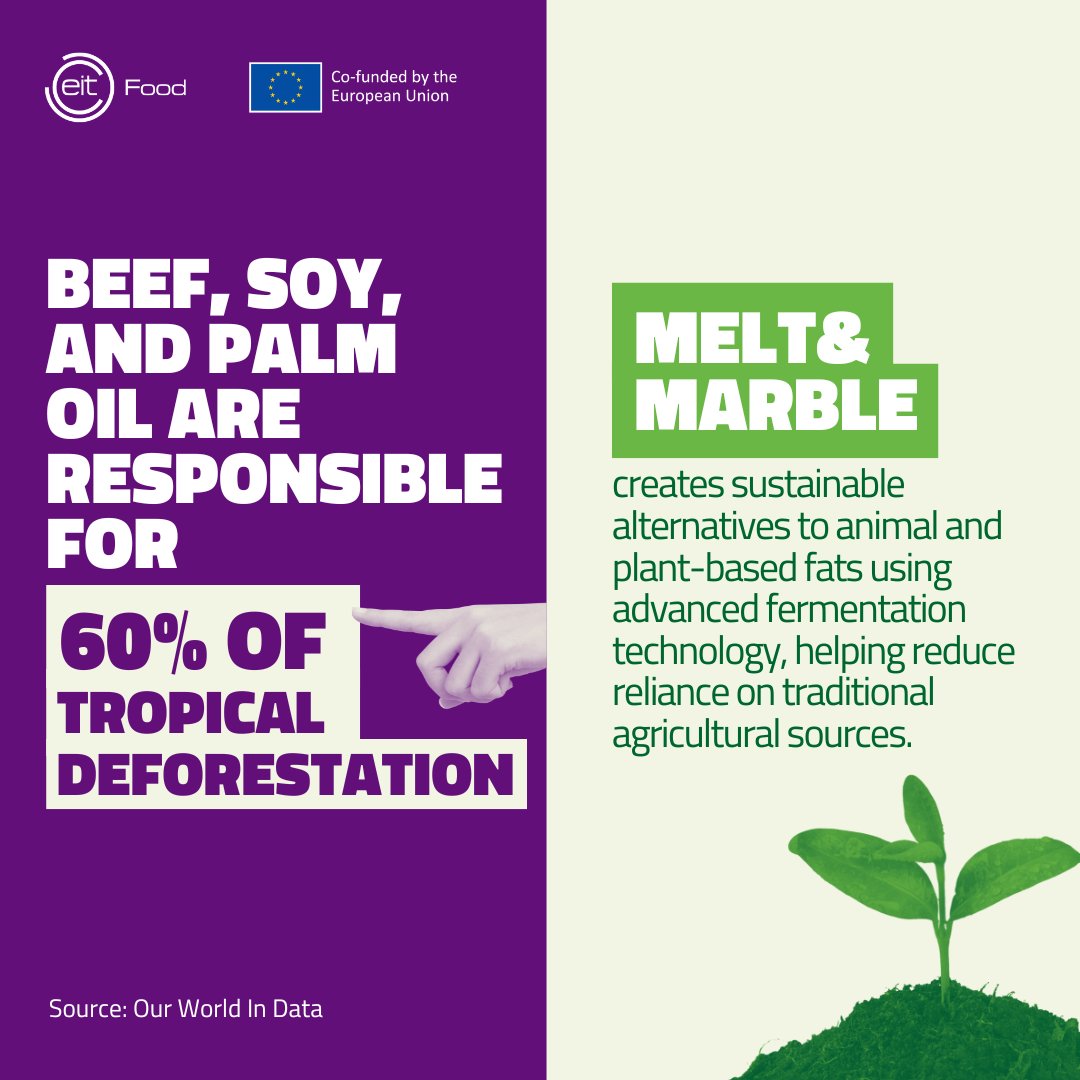 EITFood's tweet photo. There’s an urgent call for innovation in sustainability, health, &amp; resilience in #agrifood 🌱 #WomenEntrepreneurs are leading the way, reshaping the industry with unique insights. 💼

We’re proud to support them at #INNOVEIT &amp; @‌SlushHQ in Helsinki

Will you join us? 🤝