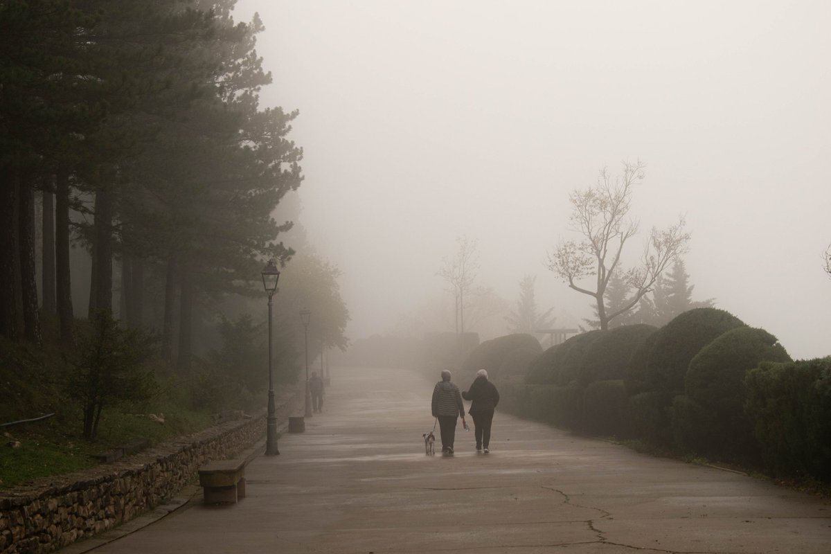 DarthAndreu's tweet photo. 🌫️ Boira a l'albereda de #Morella https://t.co/n4Zrv1vFHY