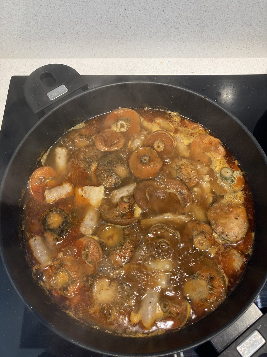 JMJof ll*ll fill de republicà represaliat gironí tweet media