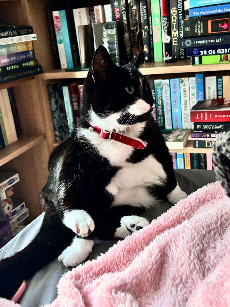 𝖄𝖚𝖓𝖊🪼🫐 tweet media