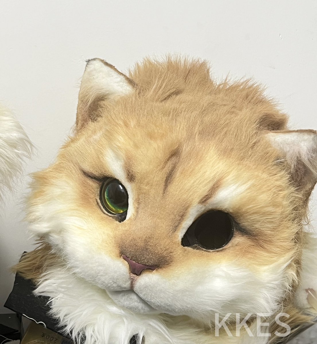 Pirate cat!🐱

#fursuit #FursuitFriday