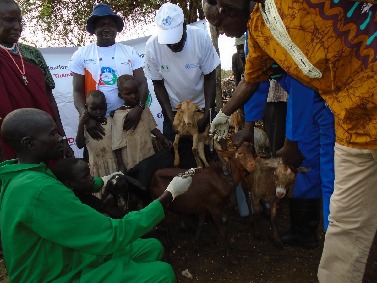 World Vision South Sudan (@wvsouthsudan) on Twitter photo Joint human and animal vaccination programs (JHAVPs) are interventions that have been known to improve health care access and outcomes among livestock and pastoral communities, like those in Kapoeta East County of #SouthSudan.
<a href="/WorldVision/">World Vision</a>
<a href="/WorldVisionEARO/">World Vision East Africa</a>
<a href="/USAIDSouthSudan/">USAID South Sudan</a> Joint human and animal vaccination programs (JHAVPs) are interventions that have been known to improve health care access and outcomes among livestock and pastoral communities, like those in Kapoeta East County of #SouthSudan.
<a href="/WorldVision/">World Vision</a>
<a href="/WorldVisionEARO/">World Vision East Africa</a>
<a href="/USAIDSouthSudan/">USAID South Sudan</a>