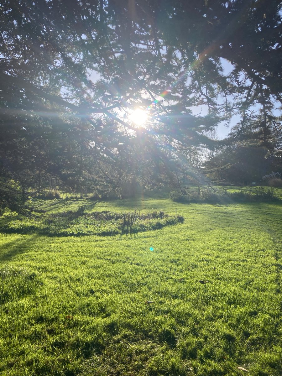 We're making the most of the final snatches of autumn in the garden &amp; prepping hearty lunches and Sunday roasts for the Tea Room! Join us this weekend for a cosy mix of the outdoors and winter warming food 🍂☕🍛

#thepinesgarden #stmargaretsbay #kentgarden