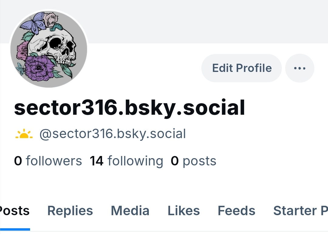 if i reach 🌟 1 follower 🌟 ill post giant women or something idk

bsky.app/profile/sector…