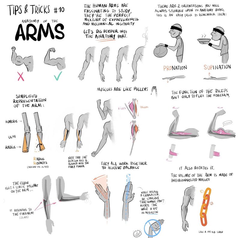 EtheringtonBros's tweet image. Our feature tutorial/artist for today is this set of ARM NOTES by the brilliant Joua.K (not on Twitter, but he posts TONS of tips on INSTAGRAM (his Insta handle is joua.k!) #howtodraw #drawingtutorial #conceptart #gamedev #animationdev #characterdesign