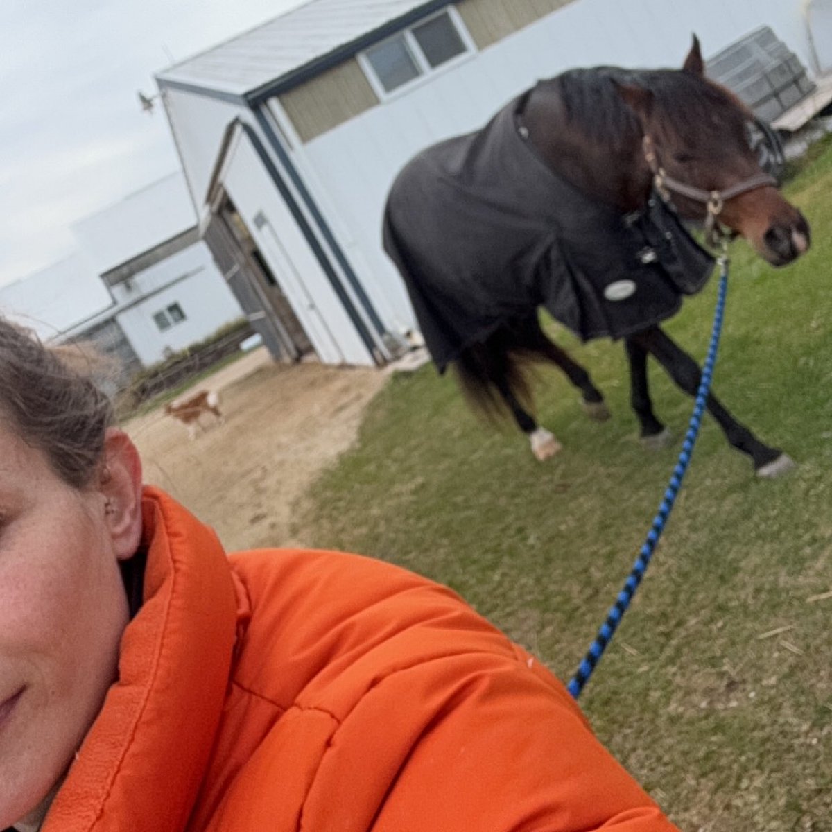 yesterdays sunrise &amp; morning chores :)