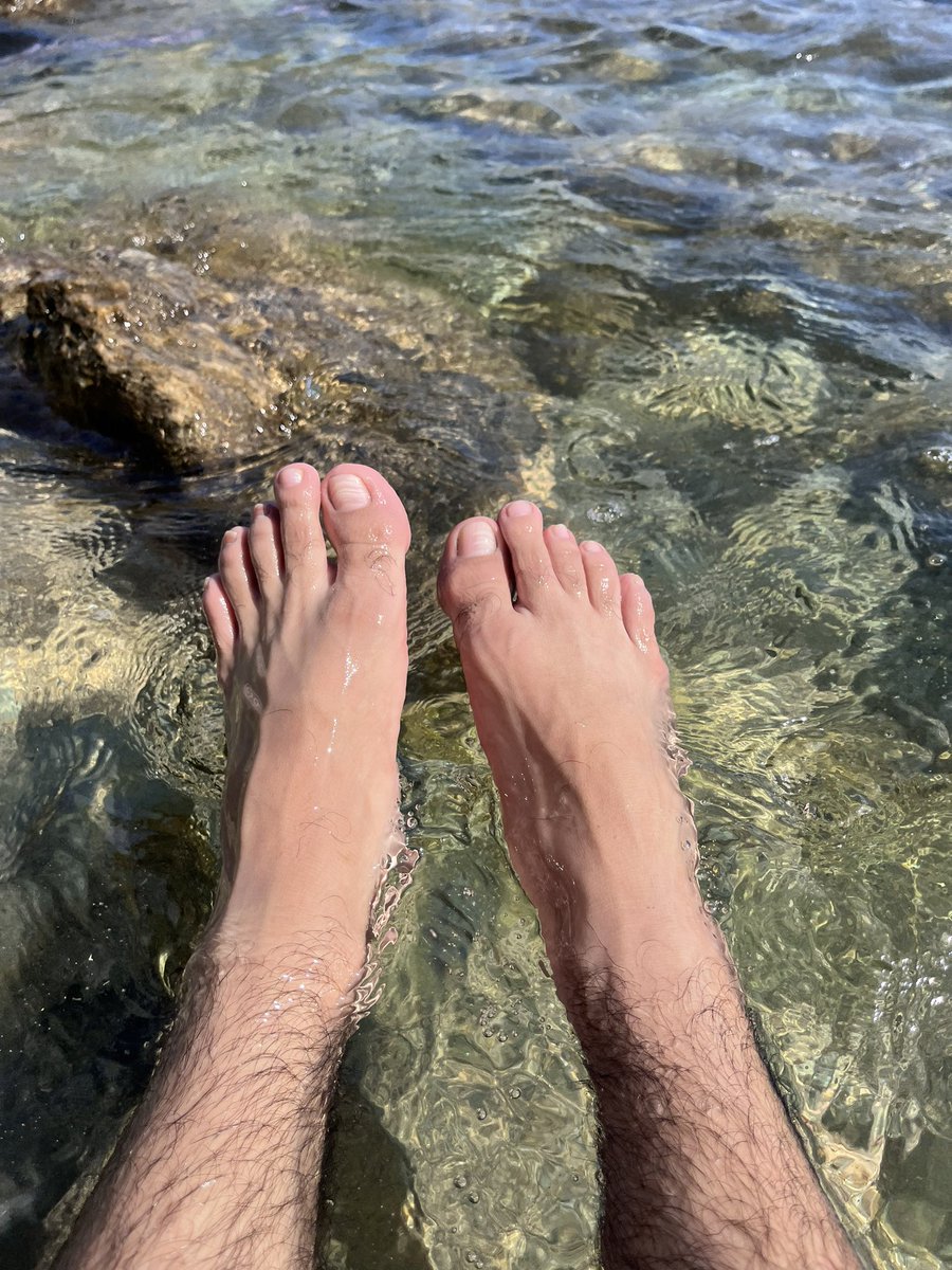 SIR AREES👹 tweet media