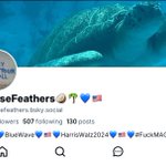 Photo by GhostMeese💙🇺🇸💙 (@GhostMeese)