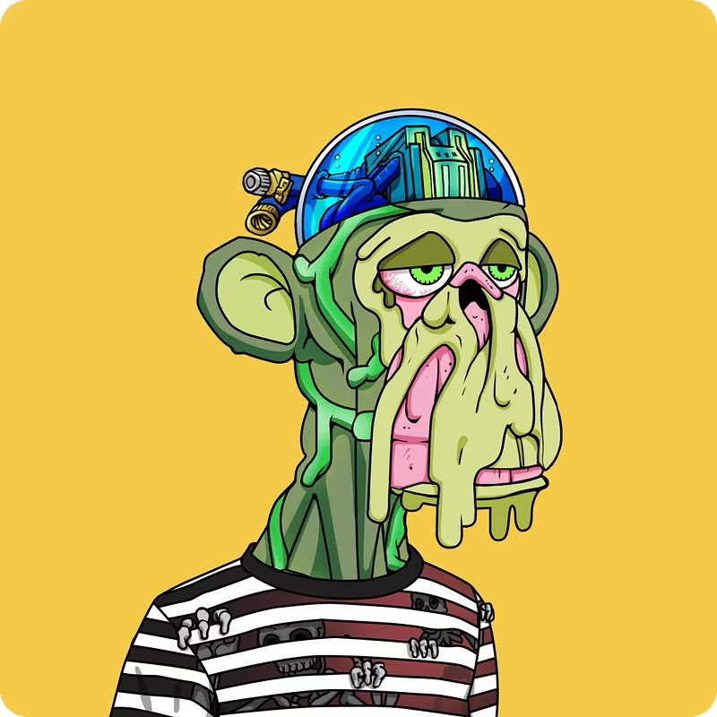 Tommy B. 🇺🇸 tweet media