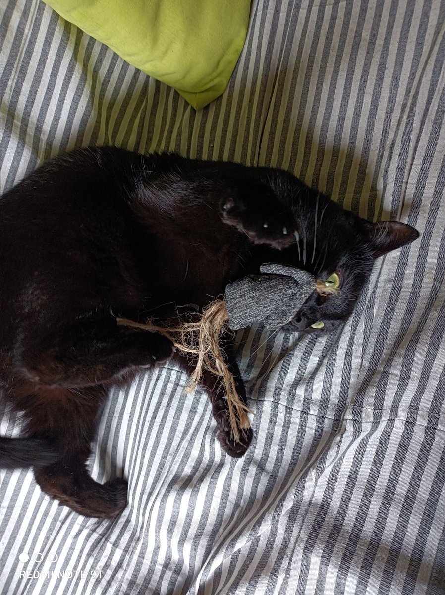 <a href="/Red24226165/">Red 🏳️‍🌈 🇮🇹 PFM</a> Et , coucou ☕🤗