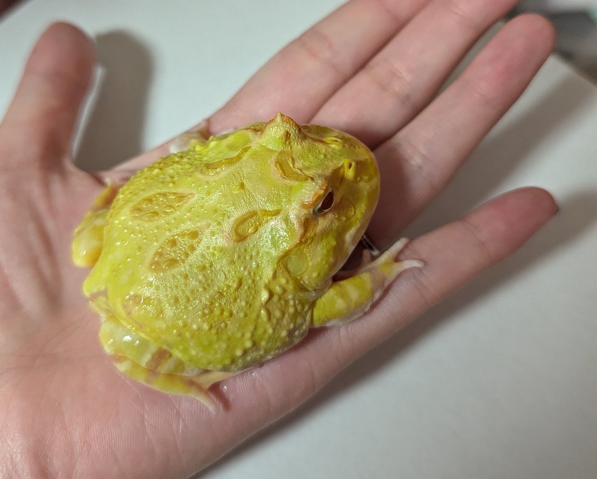 4ヶ月
だいぶ大きくなった