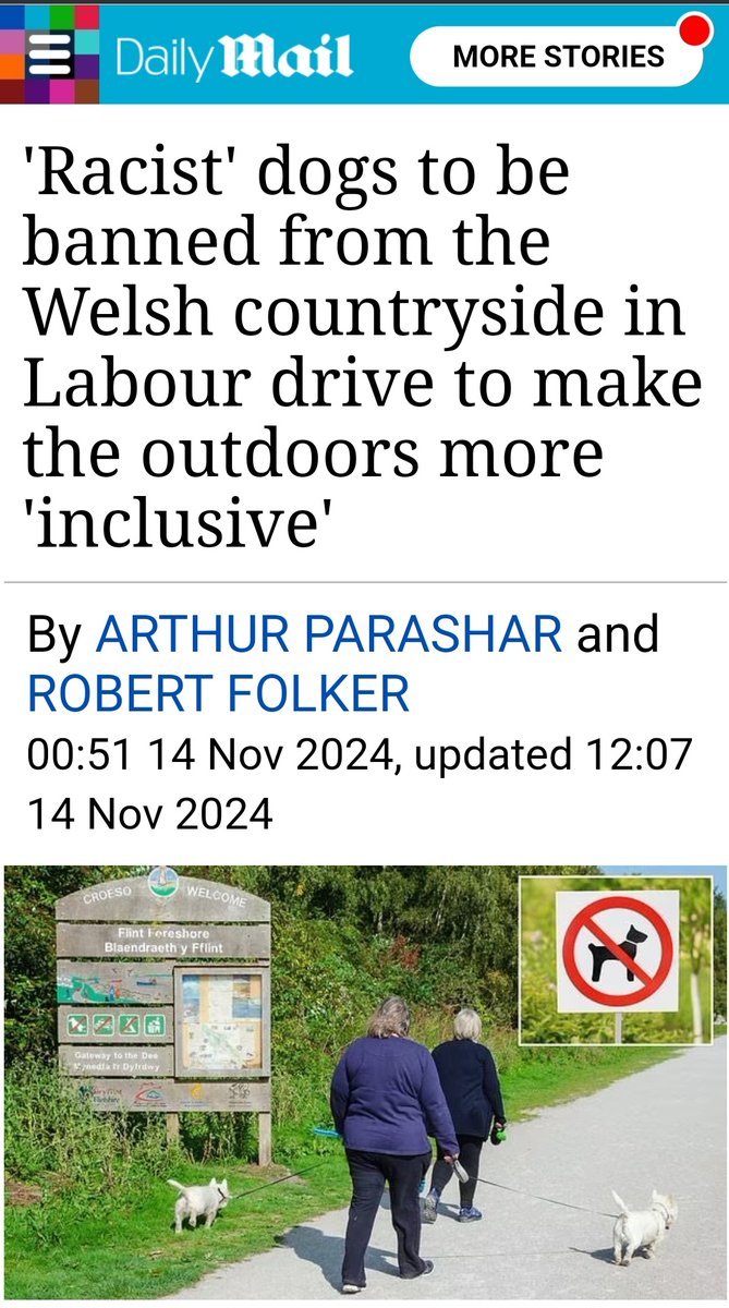 LeeAndersonMP_'s tweet photo. Is your dog racist?

Don't bother going to Wales if it is. Labour run Wales has quite clearly had enough of racist dogs who fail to see the benefits of multiculturalism.

They are barking mad 🐩🐕‍🦺🐶🦮🐕

https://t.co/x6ymSOl4re https://t.co/jIMx7jKVcD