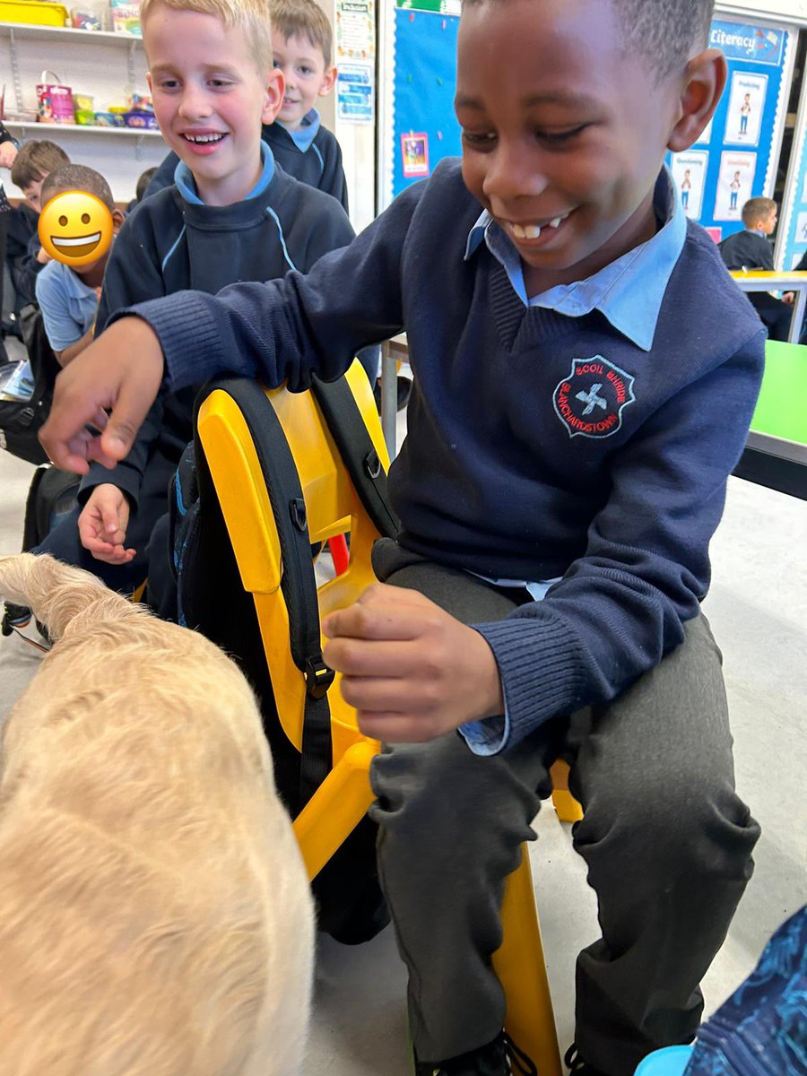 Scoil Bhríde Buachaillí (@scoilbhrideb) on Twitter photo Some therapy pups from <a href="/LuttCC/">Luttrellstown CC</a> came to visit 1st Class and some of our Sonas pupils today … what a wonderful morning! 🐶 Some therapy pups from <a href="/LuttCC/">Luttrellstown CC</a> came to visit 1st Class and some of our Sonas pupils today … what a wonderful morning! 🐶