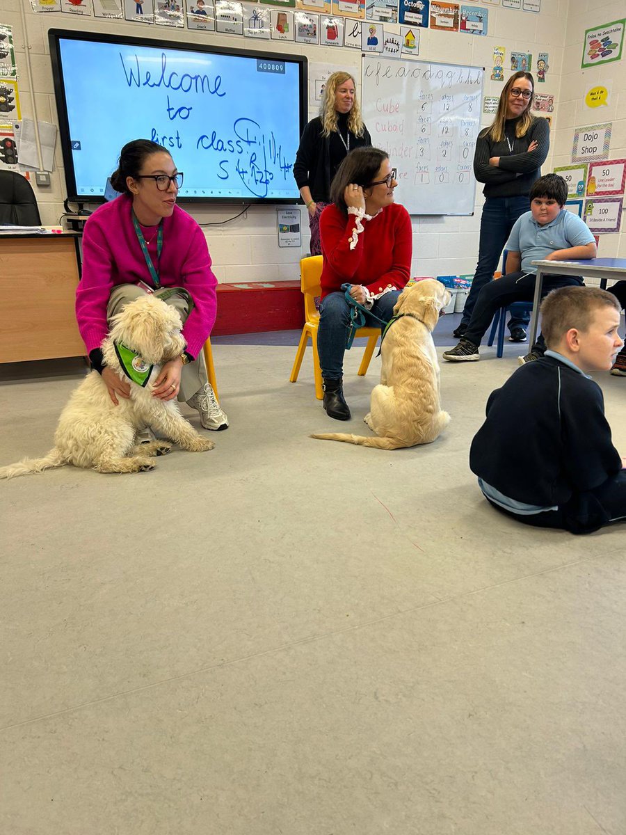 scoilbhrideb's tweet photo. Some therapy pups from @LuttCC came to visit 1st Class and some of our Sonas pupils today … what a wonderful morning! 🐶 https://t.co/Poz14TXAr2