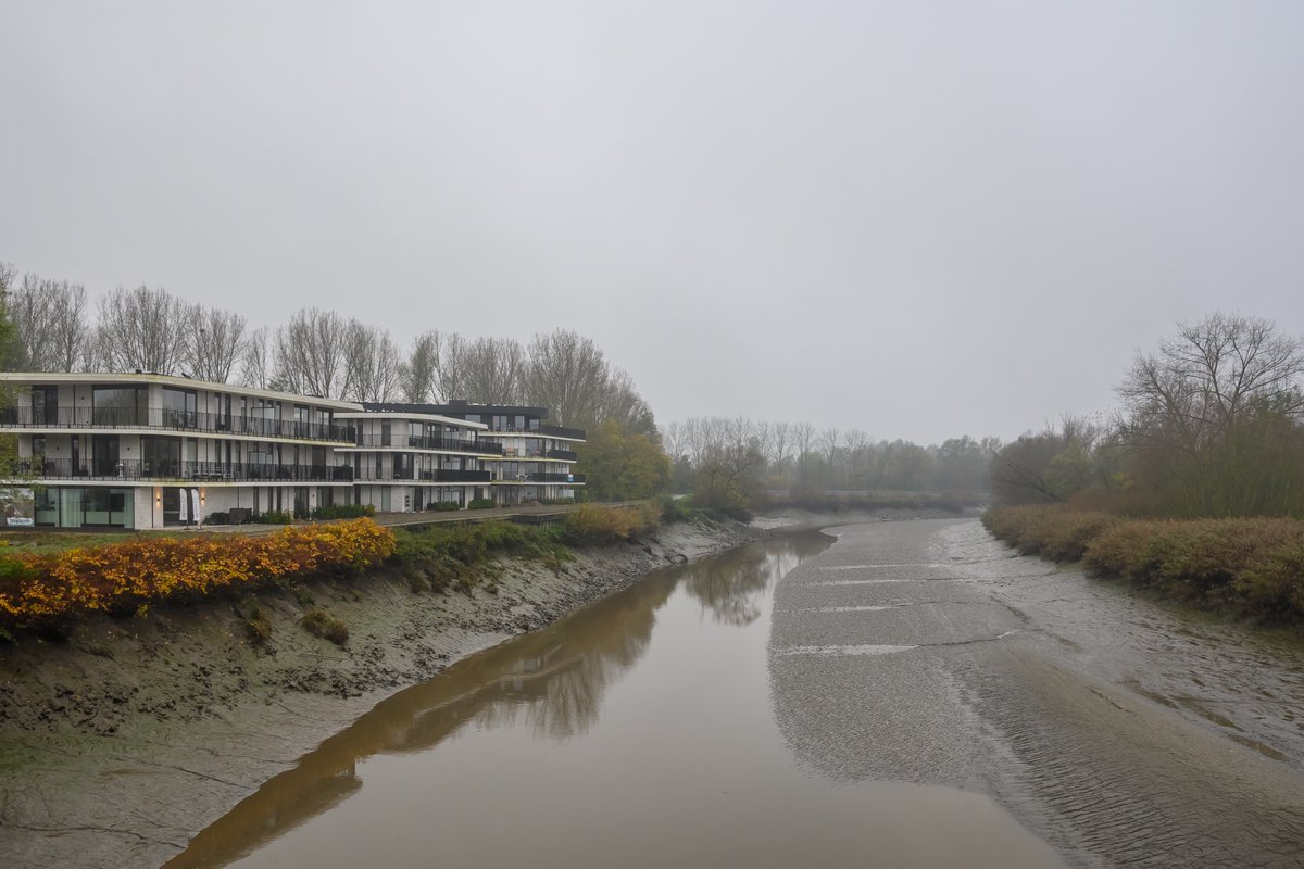MWezemael's tweet photo. #vrtweer #weerfoto #Hamme #lichte #regen #grijs #nikonphotography #weatherphotography https://t.co/M3qz037aeB