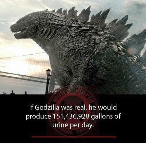 🕐HOURLY🕑 shitpost tweet media