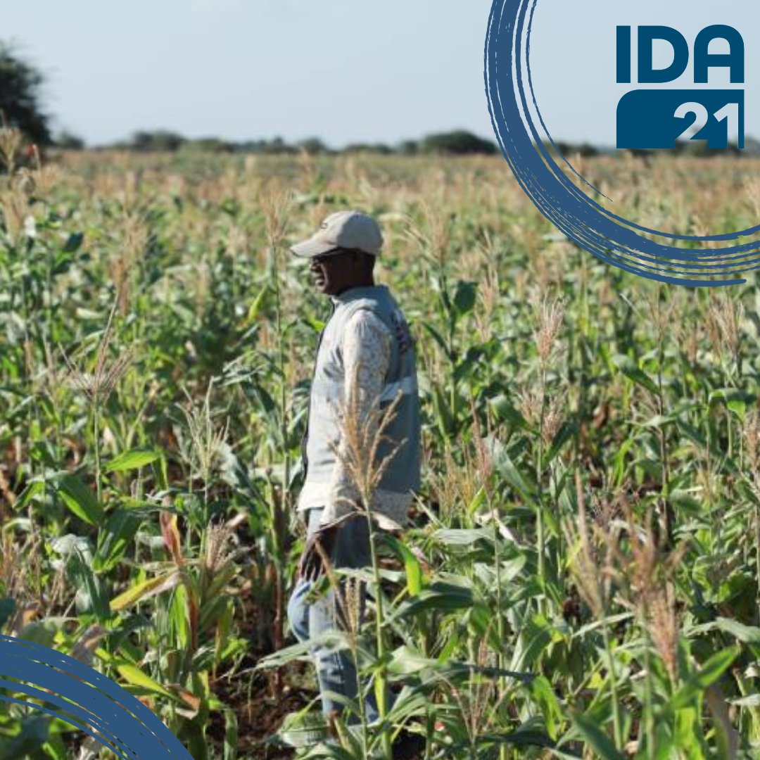 World Bank Group tweet media