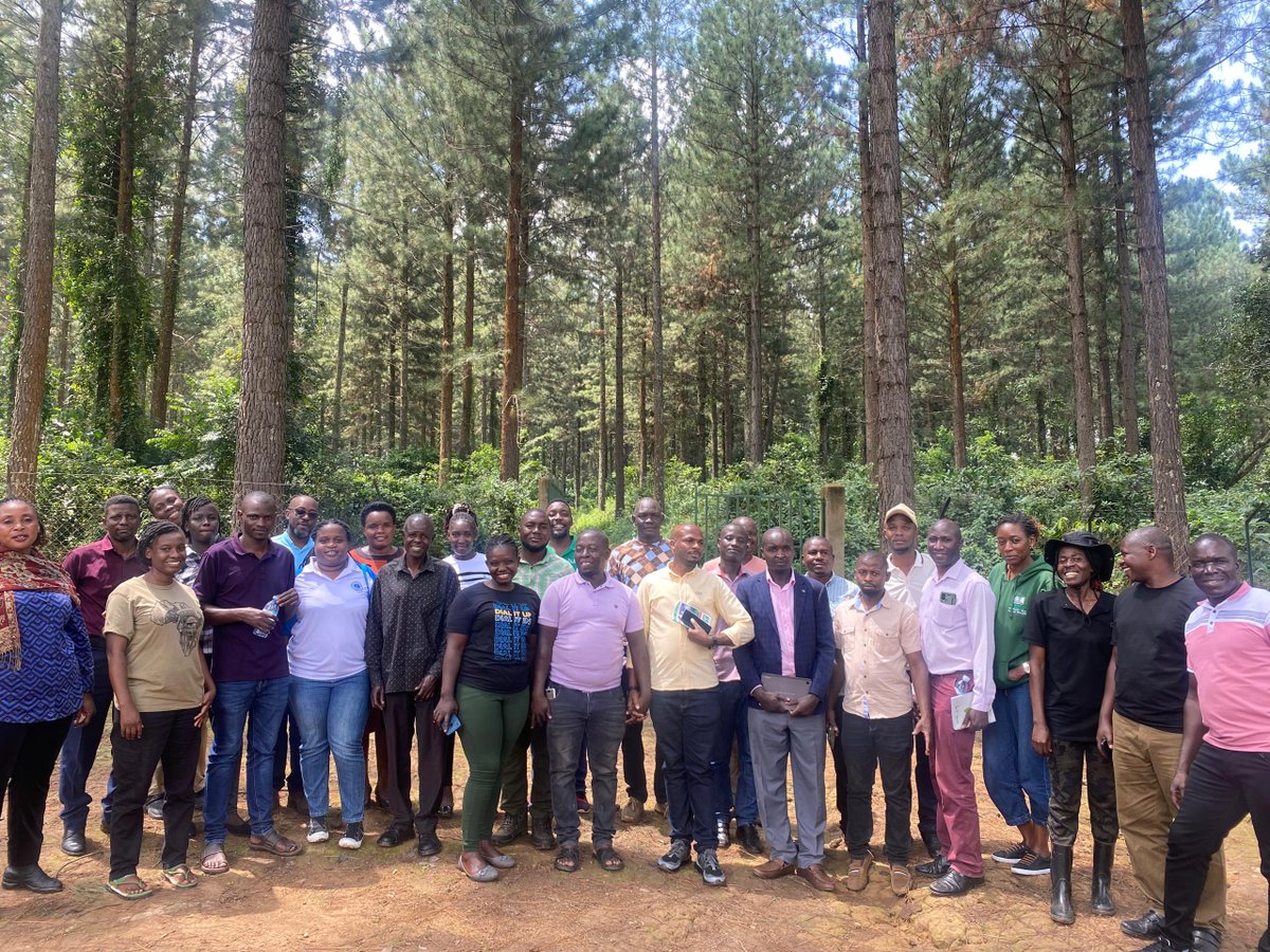 National Forestry Authority-Uganda tweet media