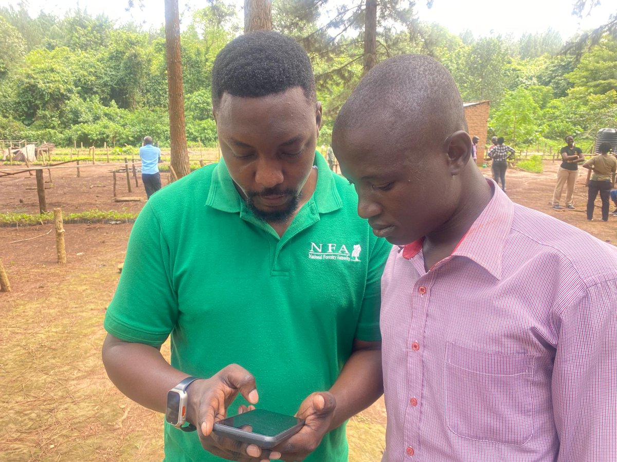 National Forestry Authority-Uganda tweet media