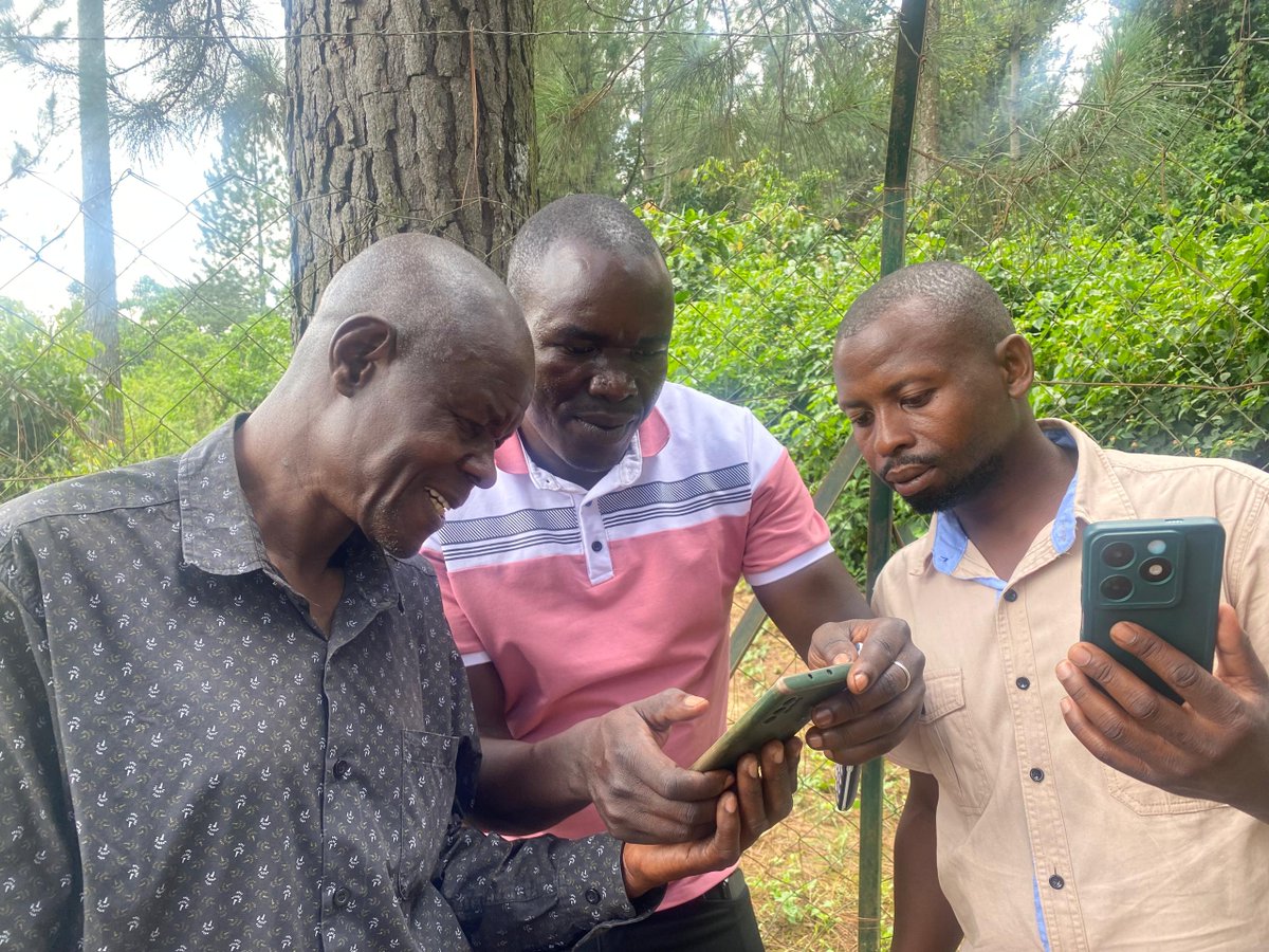 National Forestry Authority-Uganda tweet media