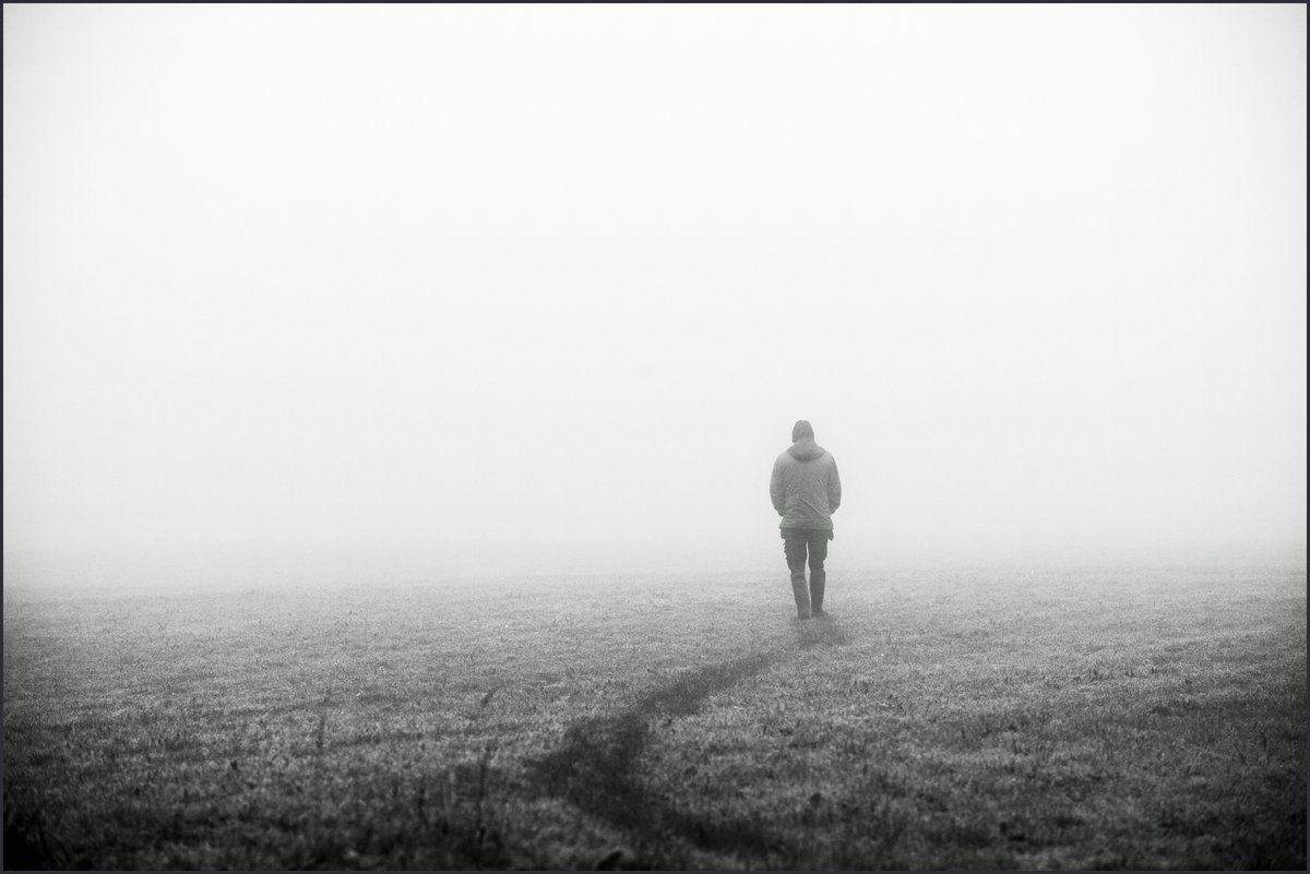 Foggy one yesterday.
The Bee Sanctuary of Ireland.
#foggy 
#ireland