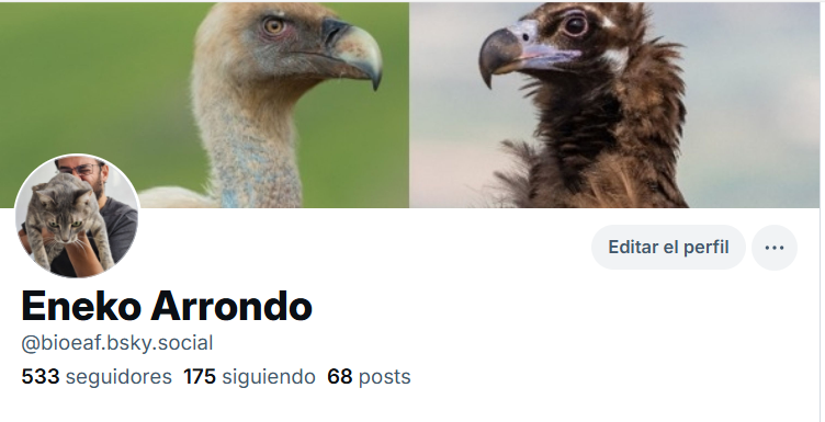 Eneko Arrondo tweet media